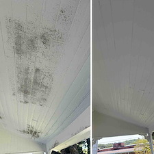 Professional-House-Washing-Exterior-Cleaning-in-Central-SC 1