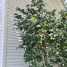 Professional-House-Washing-Exterior-Cleaning-in-Central-SC 19