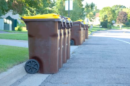 Trash Can Sanitation: Why Households Should Add It to Spring Cleaning Thumbnail